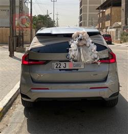 بي ام دبليو X1